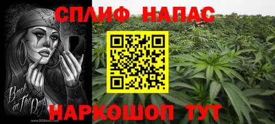 apvp Будённовск