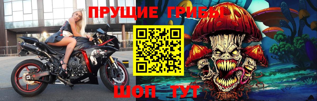 Наро-Фоминск  Галлюциногенные грибы Psilocybine cubensis  Вход с VPN 