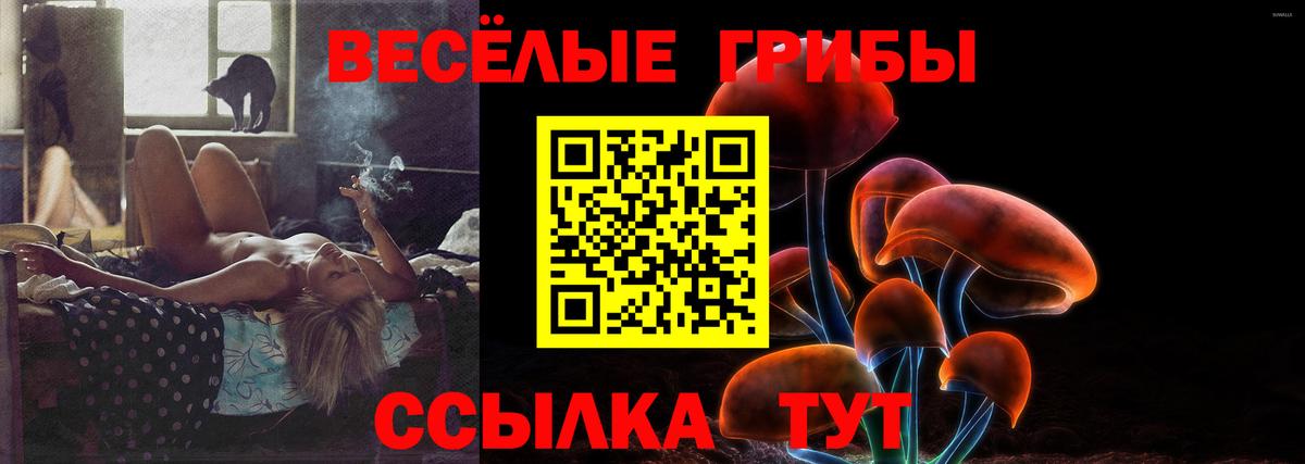 Галлюциногенные грибы прущие грибы Наро-Фоминск